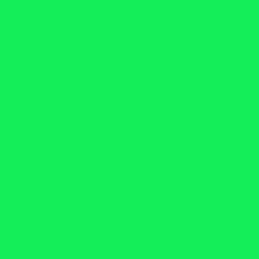 Siser EasyWeed® Fluorescent 12" Green