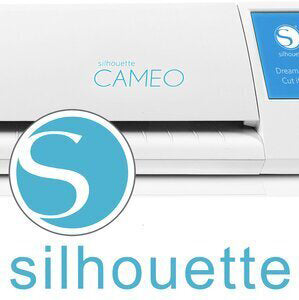 Silhouette One on One Class